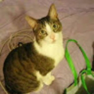 Meet your Posher, Olivia